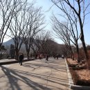 계양산산림욕장(장미원) 이미지