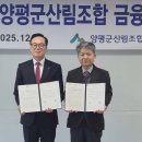 양수리전통시장(양평양수리시장) 에코저널