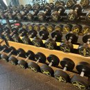 트라이 피트니스 이미지