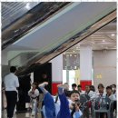 구룡태권도체육관 이미지