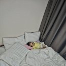 6347 | [서귀포시 소노캄제주] 제주도에서 가족과 가기 좋은 가성비 리조트 스위트 디럭스룸 후기