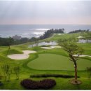 오션비치 이미지