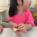 이상열농장 | 대구근교체험 재밌고 유익한 천연벌꿀체험 칠곡꿀잼농장 꿀벌인