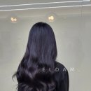 (주) 엘담 네이버블로그