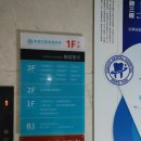 푸바오애견 2호점 | 봄 38] 창사에서 상하이로, 라오시먼역 근처의 푸이호텔에 머물고 비 내리던 밤 예원의 황홀한 야경에...