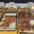 봄마중(2월에는) 이미지