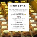 고소소 네이버블로그