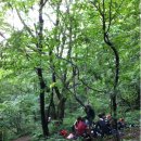 곰배령스케치 이미지