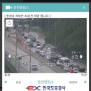 700338 이미지