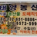 태양농산 이미지