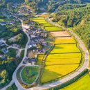 거진11리 마을 이미지