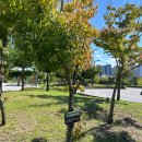 상서재마당근린공원 이미지