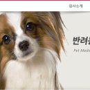 팝애니랩