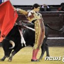 투우사