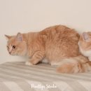 빵실스튜디오