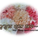 간호과정과비판적사고 이미지