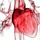 예사랑병원 이미지