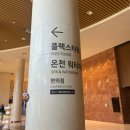 덕산파크 | 겨울 스플라스 리솜 덕산 워터파크 준비물 입장료 주말 방문 후기