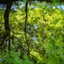 탑곡농장 이미지