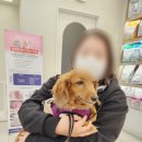 위브동물의료센터 이미지