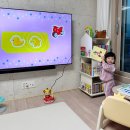 시노텍 | 20개월 아기전집 리틀천재 돌잡이 시리즈 3개월 사용 AS 후기