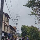 연세우유중부대리점 | 251003 효도관광으로 떠난 일본 중부 여행(다카야마 아침시장,히다노사토,신호타카 로프웨이, 히라유...