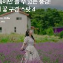 롯데워터파크길L 이미지