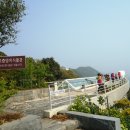 까멜리아 이미지