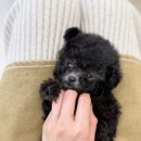 대홍약국 이미지