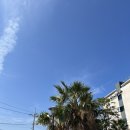 씨유한림상로점 | [제주] 5박 6일 제주도 신혼여행 - <2일차> 치저스/송당무끈모루/새빌/아루미호텔협재점/도민상회본점...