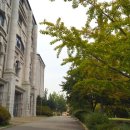 인천대학교(제물포캠퍼스) 이미지