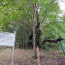 봉림정사(鳳林精舍) | ● [도서추천] 송시열과 그들의 나라[3-1]