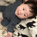땅콩228 이미지
