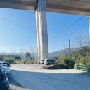 규용농장 | 강릉아이랑가볼만한곳 대관령아기동물농장 강릉동물체험솔직후기