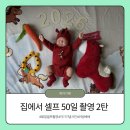 11650-5-50-3 | 러빙베베 아기 50일 기념 셀프 촬영 2탄 후기