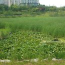 수원-0602 티스토리