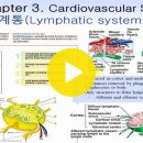 Chap_3_Respiratory System of MT 이미지