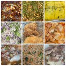 차림한식뷔페 | [맛있는 발견] 제주 모슬포 맛집 우사미 뷔페 회 무한리필 가성비 혼밥 한식뷔페 내돈내산 후기