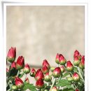 영서초등학교 이미지