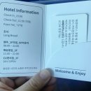 강릉여행 안목해변 오션뷰 호텔 스탠다드 더블 숙박 헤렌하우스 추천