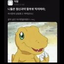 성정초 | 늑구야 돌아와!