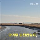 흑두루미공원 주차장 화장실 | 순천3월여행, 7개월 아기랑가볼만한곳 순천만습지 유모차 주차장