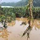 가수원경로당 이미지