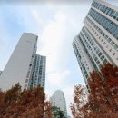 동부 비상-8호 이미지