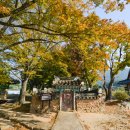 효자오형진지려 이미지