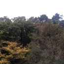 선의농원 이미지