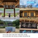안동 여행 1박2일 KTX-이음 도산서원 병산서원 안동소주박물관 안동하회마을