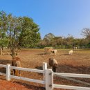 길갈농장 이미지