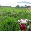 원반농장 이미지