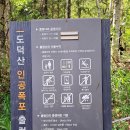 6월28(토)광명시 구름.도덕산 트레킹후 철산역 LP음악빠 산울림 에서 생맥주 한잔과 음악감상하기 이미지